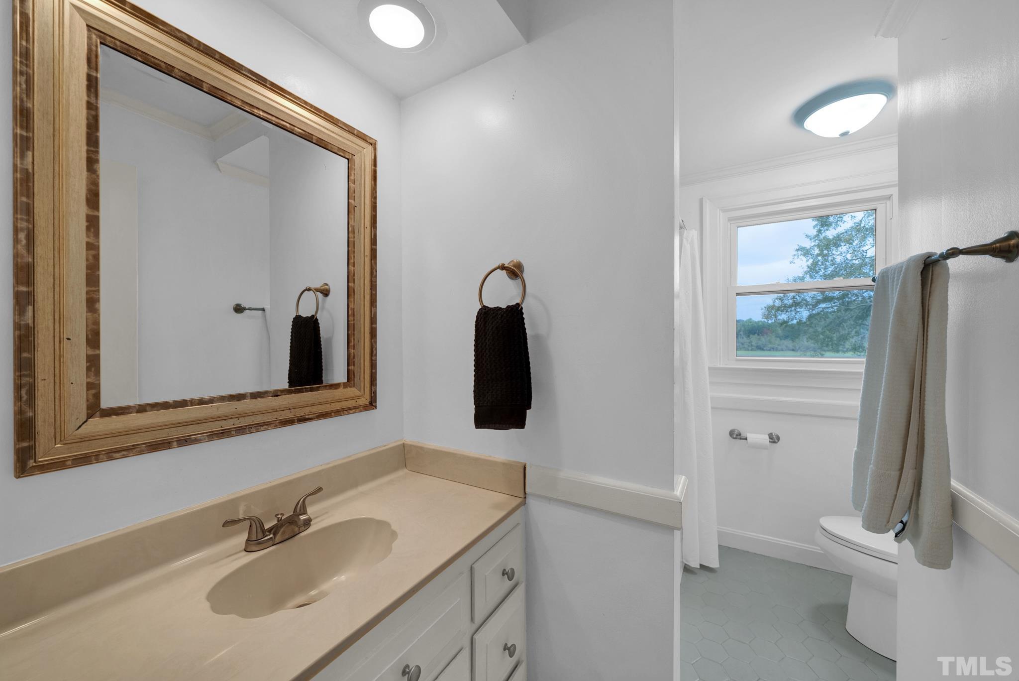3614 Holly Grove Road Benson, NC 27504 - Photo 4 of 30 a bathroom with a sink a toilet and mirror