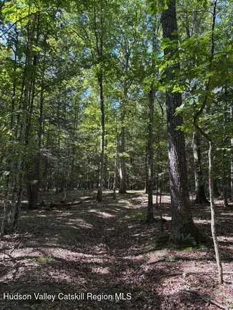 $3,500,000 | 0 Lucas Ave Extension, Hurley, NY 12443