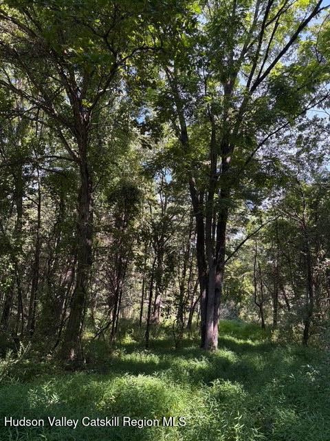 0 Lucas Ave Extension Hurley, NY 12443 - Photo 14 of 17 IMG_3984