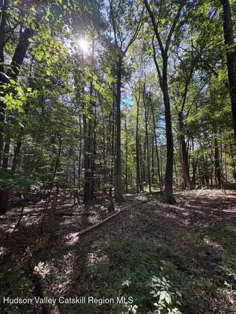 $3,500,000 | 0 Lucas Ave Extension, Hurley, NY 12443