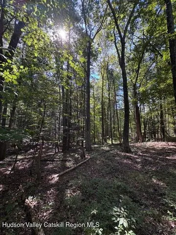 $3,500,000 | 0 Lucas Ave Extension, Hurley, NY 12443