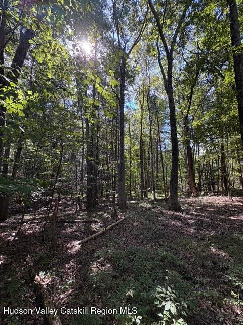 0 Lucas Ave Extension Hurley, NY 12443 - Photo 15 of 17 IMG_6514