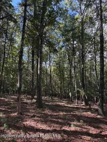 $3,500,000 | 0 Lucas Ave Extension, Hurley, NY 12443