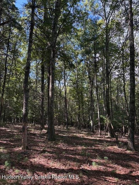 0 Lucas Ave Extension Hurley, NY 12443 - Photo 16 of 17 IMG_3975