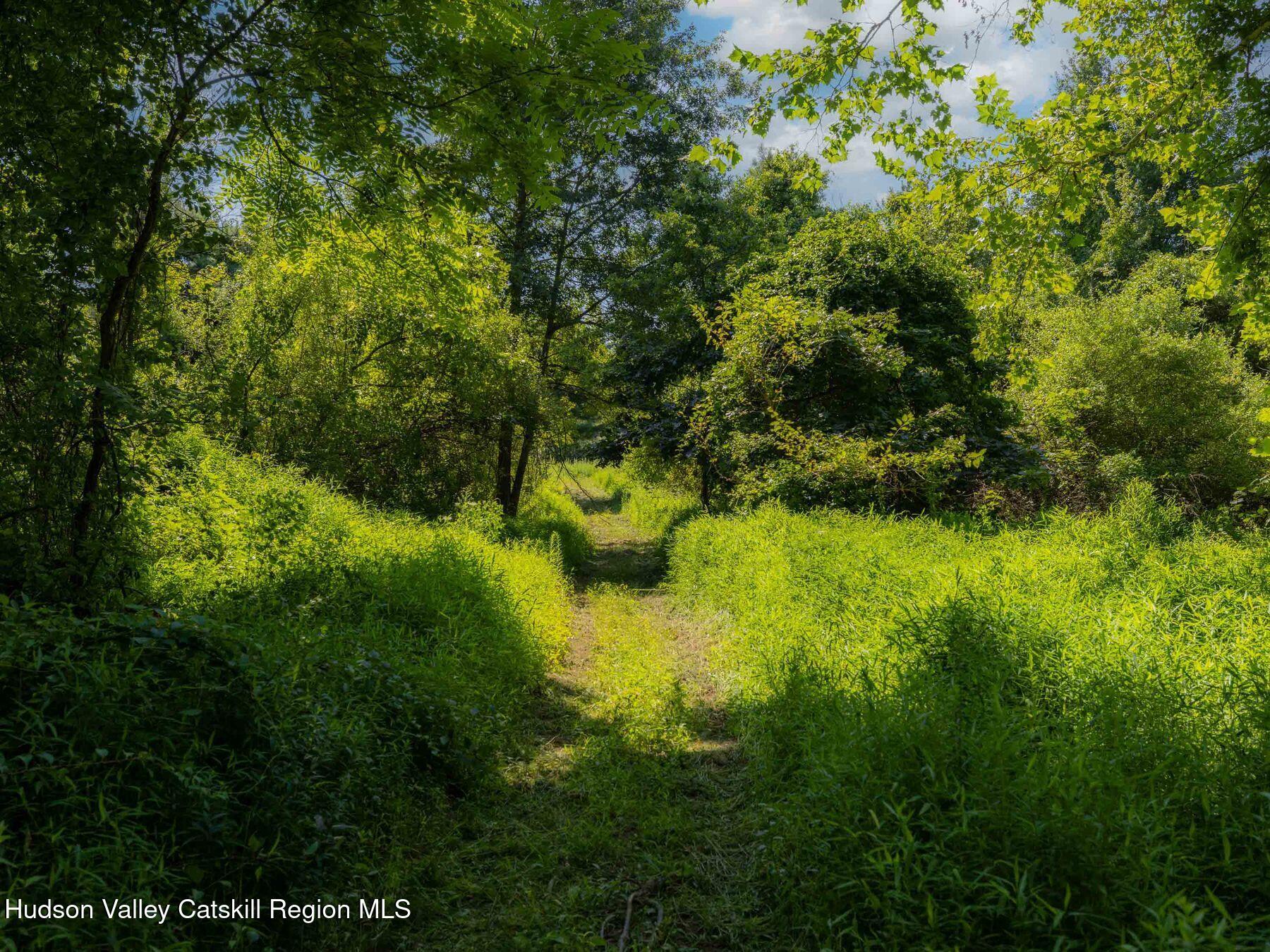 0 Lucas Ave Extension Hurley, NY 12443 - Photo 4 of 17 photo_online_001