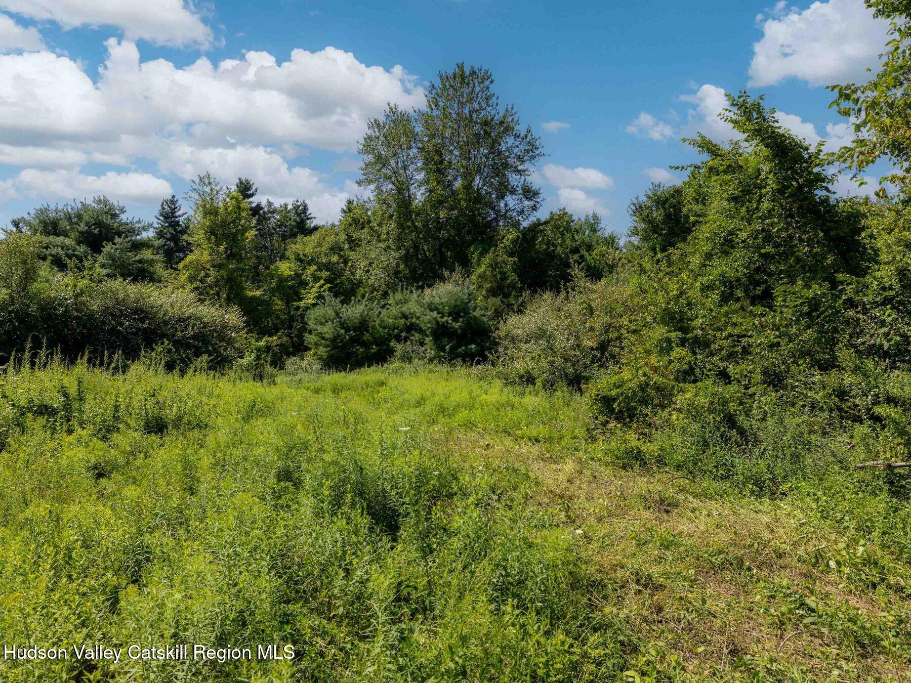 0 Lucas Ave Extension Hurley, NY 12443 - Photo 6 of 17 photo_online_004