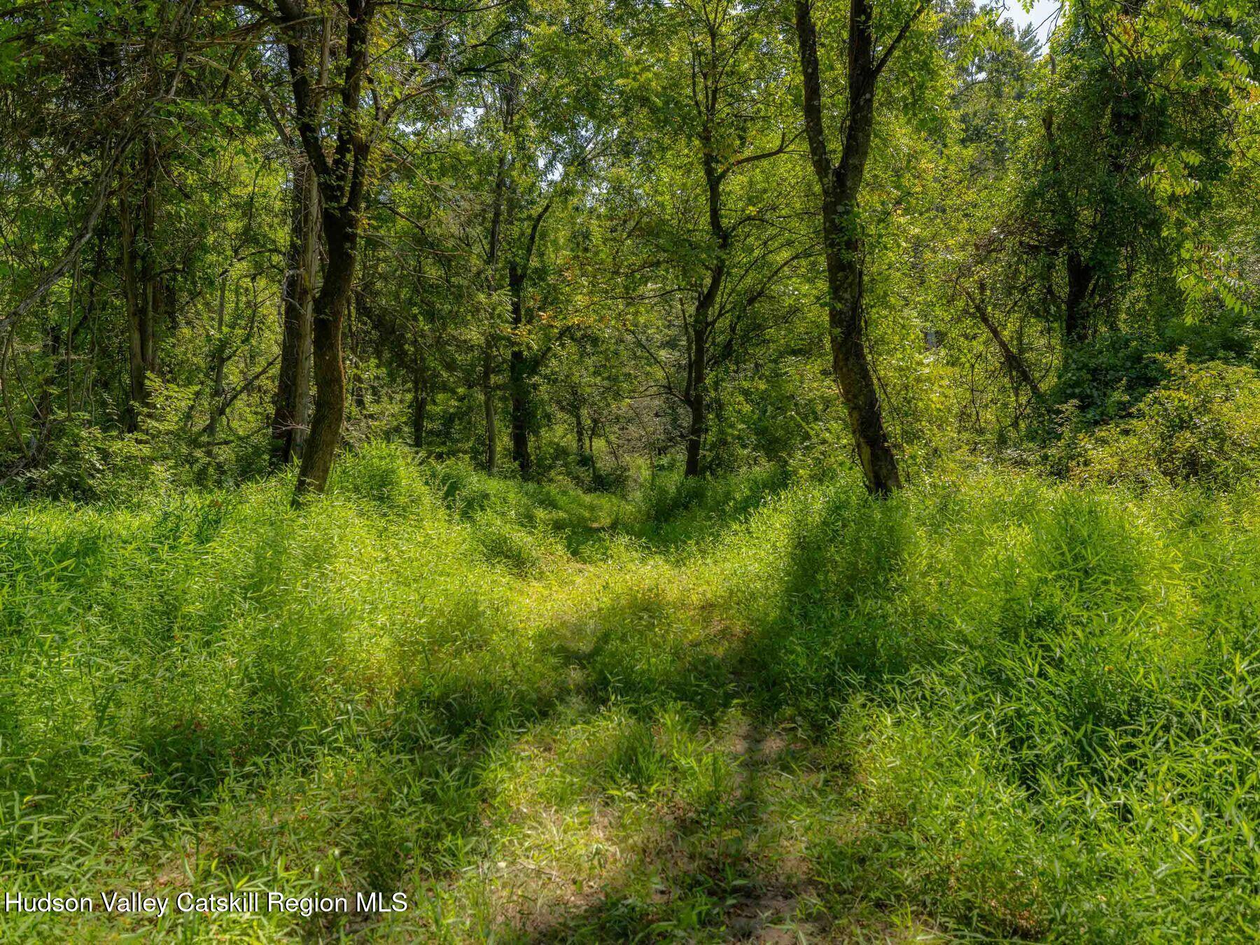 0 Lucas Ave Extension Hurley, NY 12443 - Photo 9 of 17 photo_online_007