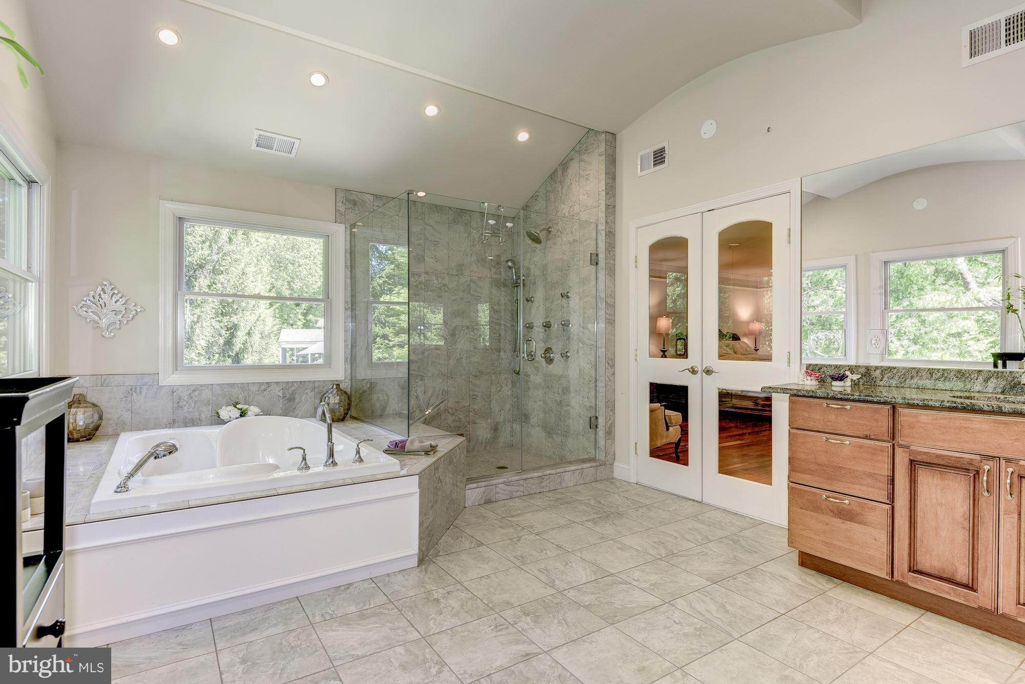 1523 Blue Meadow Road Potomac, MD 20854 - Photo 17 of 29 Luxurious Master Bathroom