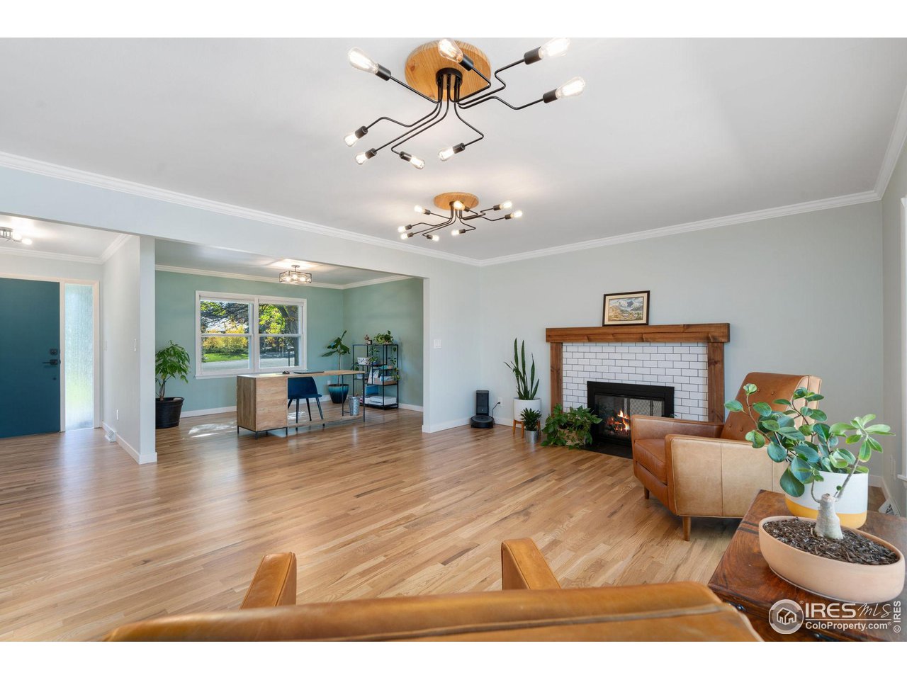 Gallery Image 7