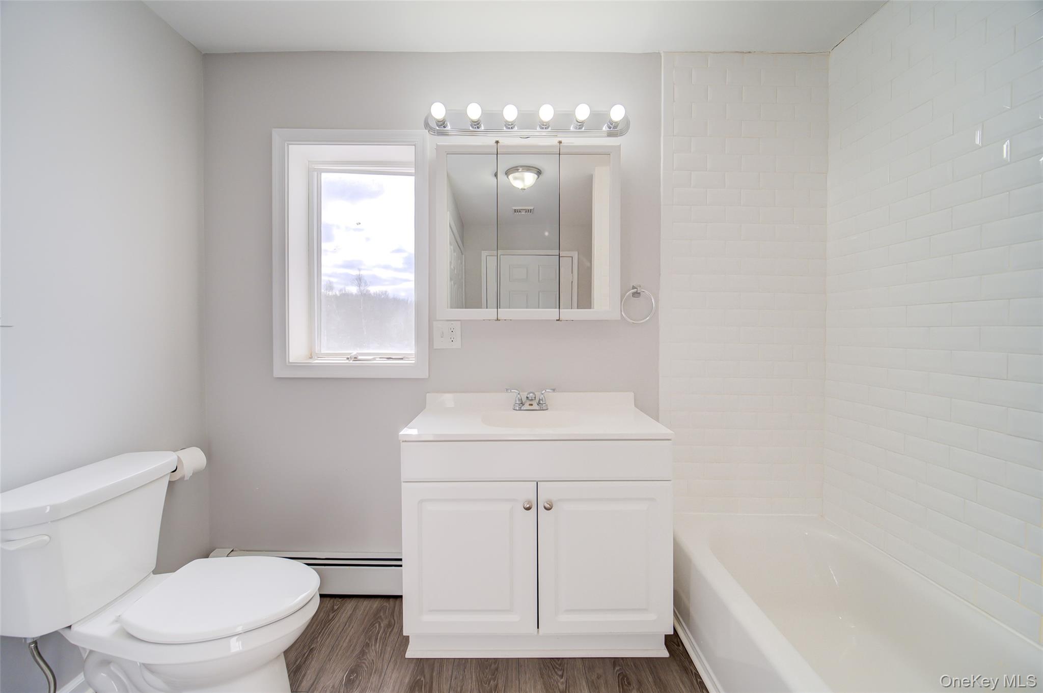 2213 Mt Hope Road, Unit A Middletown, NY 10940 - Photo 18 of 21 a bathroom with a sink a toilet a window and vanity