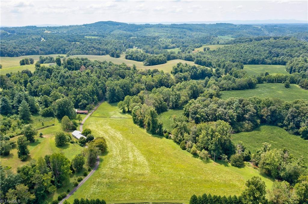 10901 Austin Traphill Road Traphill, NC 28685 - Photo 49 of 50 Land, land, land.....