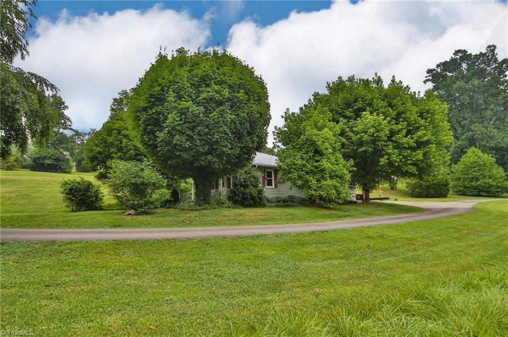 10901 Austin Traphill Road Traphill, NC 28685 - Photo 6 of 50 Beautiful driveway winding around to the main home