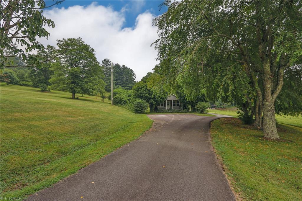 10901 Austin Traphill Road Traphill, NC 28685 - Photo 7 of 50 Gallery Image 7