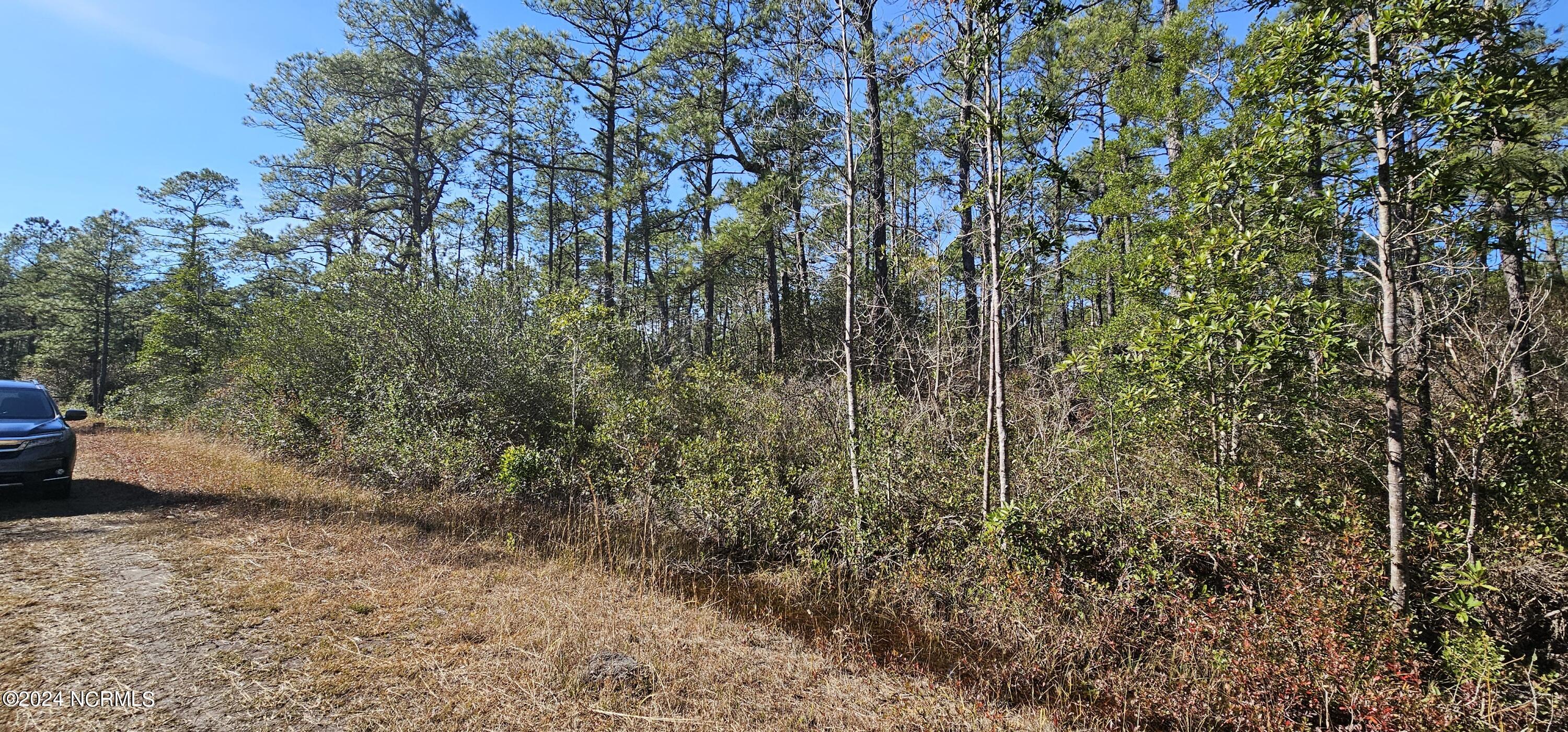 Lot 47-48 2nd Road Southport, NC 28461 - Photo 3 of 7 20240105_123504