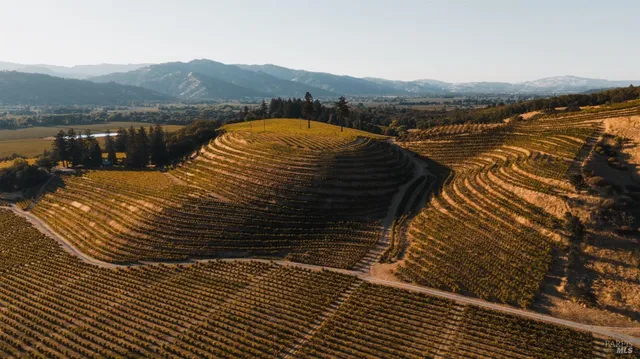 a view of a city with lake view