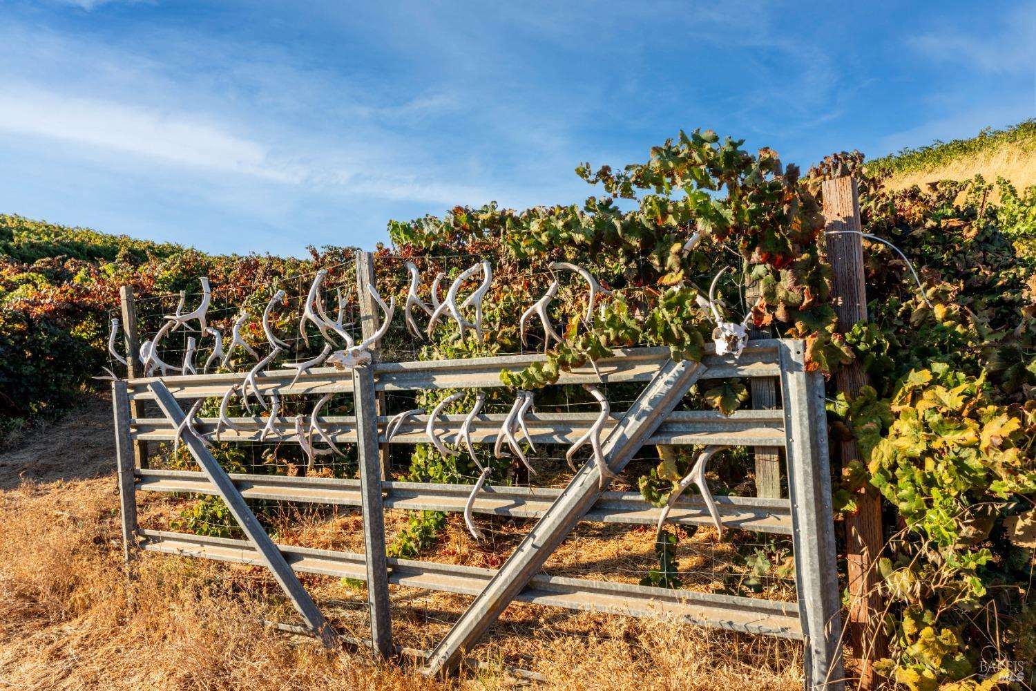 5700 Old River Road Ukiah, CA 95482 - Photo 44 of 56