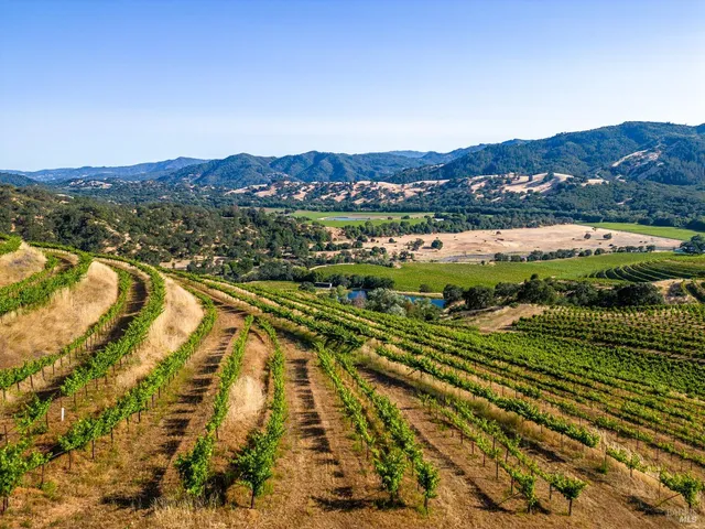 a pathway of a house with a yard