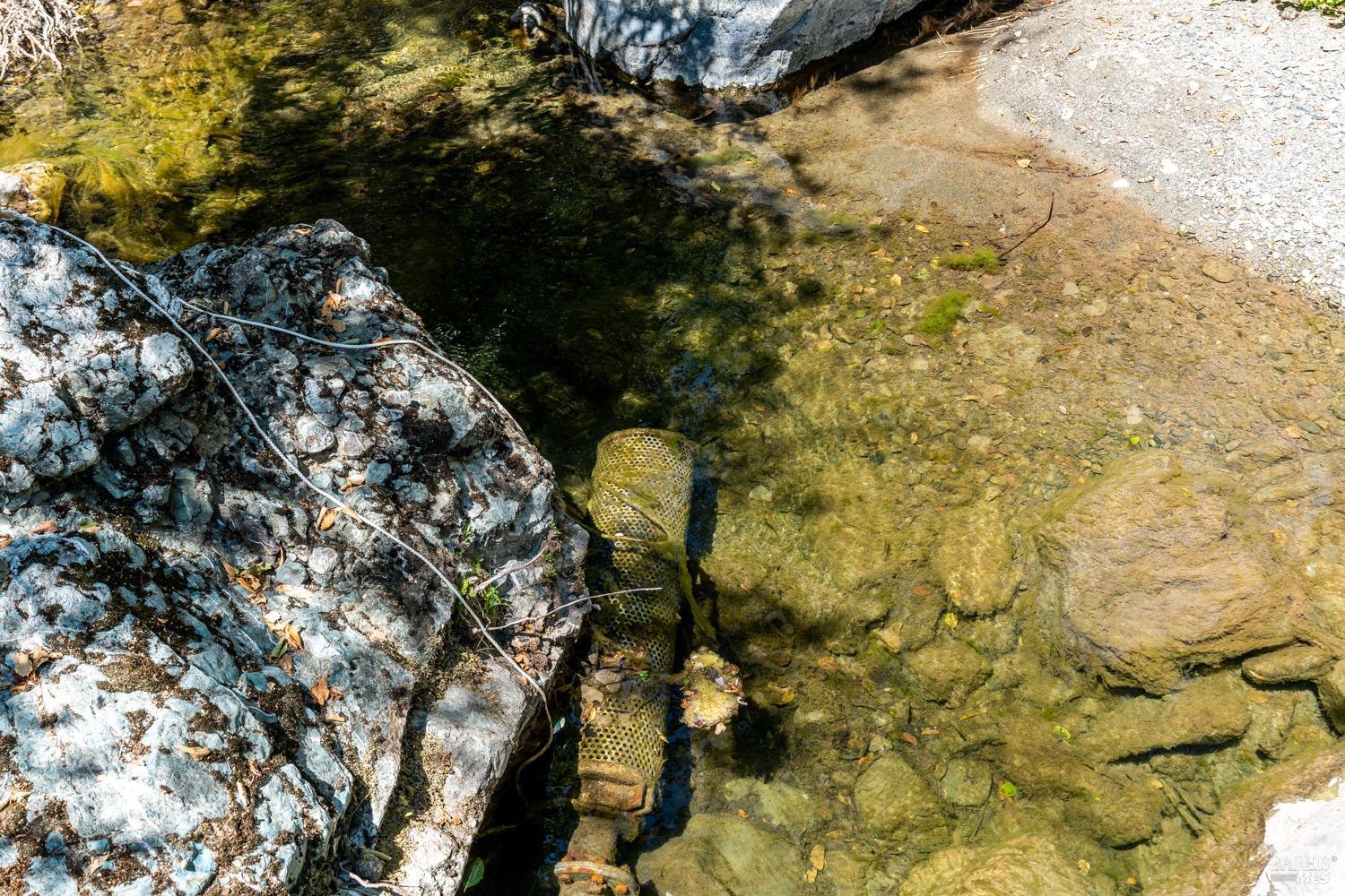 5700 Old River Road Ukiah, CA 95482 - Photo 56 of 56 a backyard of a house with large trees