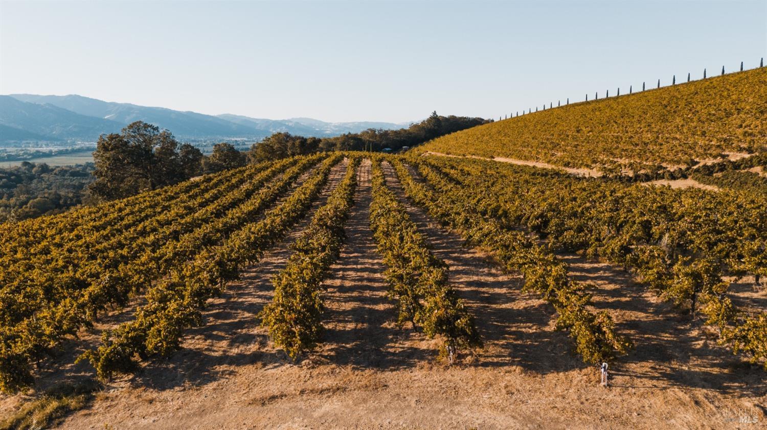 5700 Old River Road Ukiah, CA 95482 - Photo 8 of 56