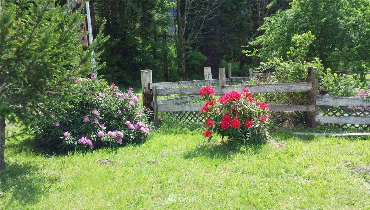 121 B Baker Road Randle, WA 98377 - Photo 5 of 7 Gallery Image 5