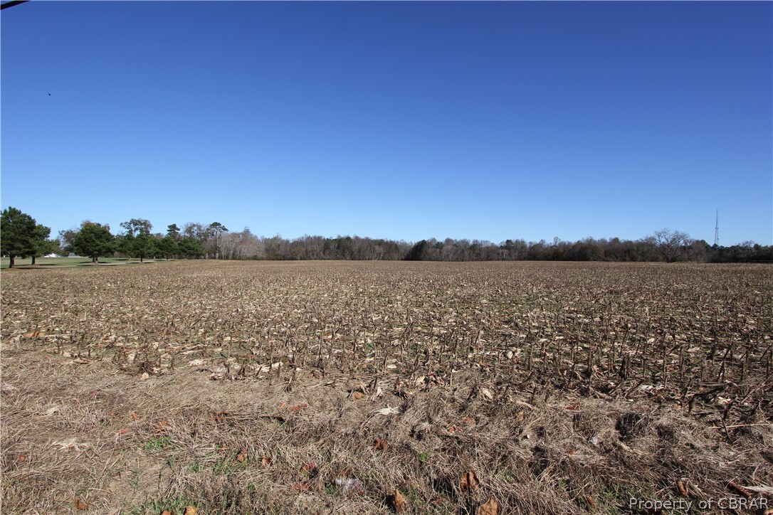 3026 Forge Road Toano, VA 23168 - Photo 3 of 11 3026 Forge Road 50.77 Ac