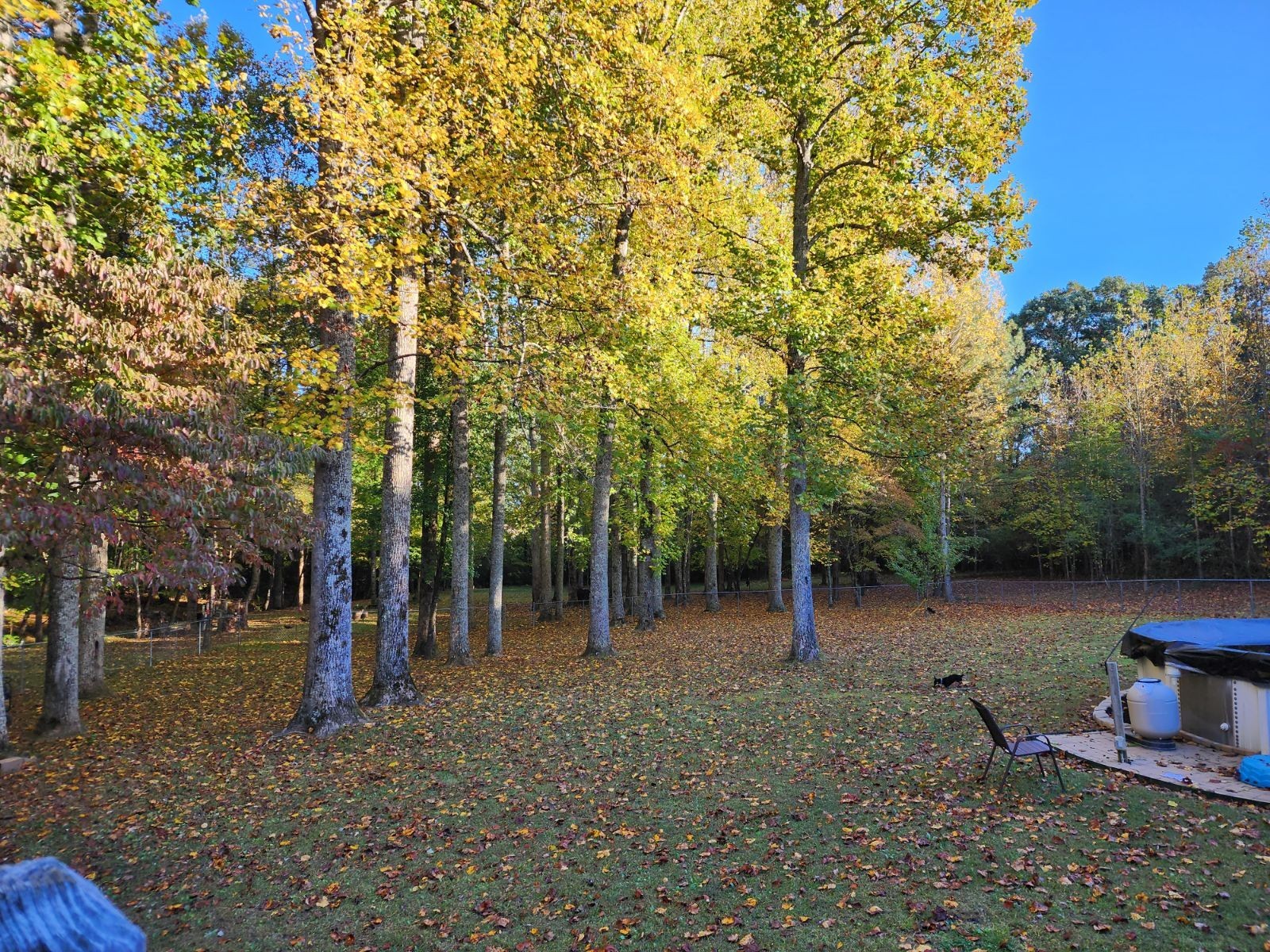 152 Shawna Street McMinnville, TN 37110 - Photo 22 of 22 a backyard of a house with lots of green space
