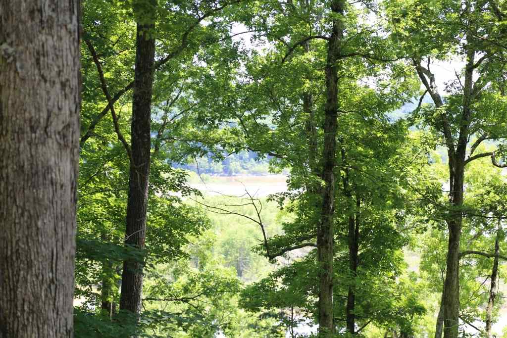 7500 Deckard Ridge Road Nashville, IN 47448 - Photo 2 of 29 Gallery Image 2