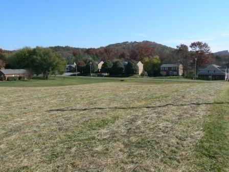 5647 Starkey Road Roanoke, VA 24018 - Photo 14 of 28 Land in Side Yard
