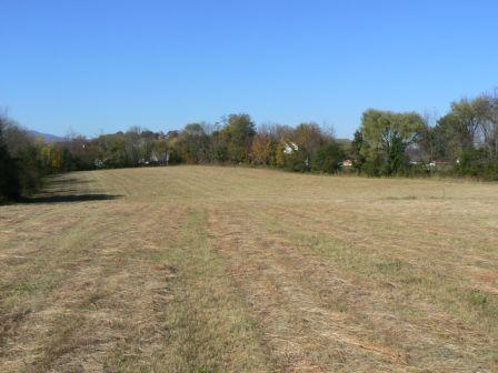 5647 Starkey Road Roanoke, VA 24018 - Photo 3 of 28 View of Backyard