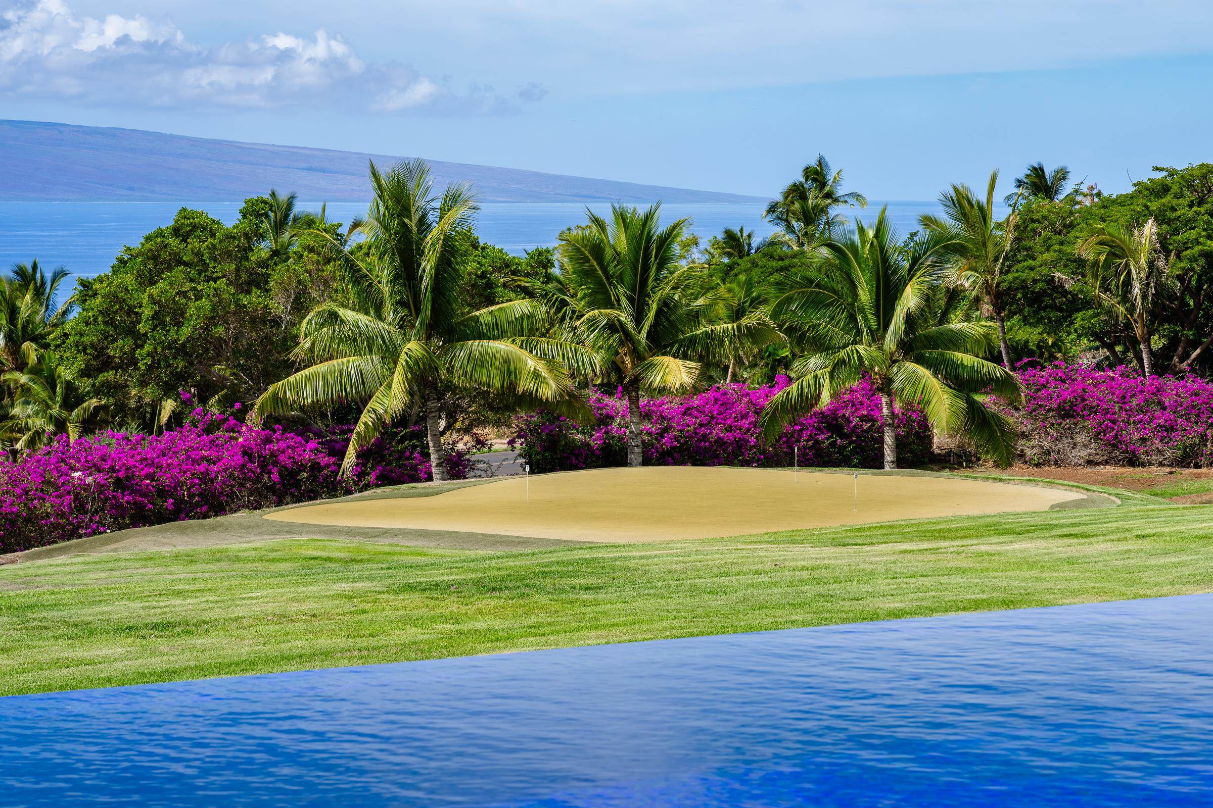 936 Punakea Loop Lahaina, HI 96761 - Photo 25 of 37 a view of a flower in a garden