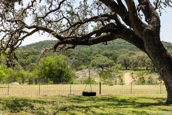 a view of yard with tree
