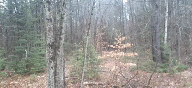 $199,999 | 0 Allen Road, Lempster, NH 03605