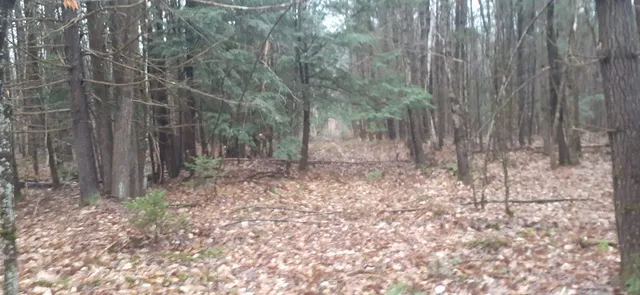 $199,999 | 0 Allen Road, Lempster, NH 03605