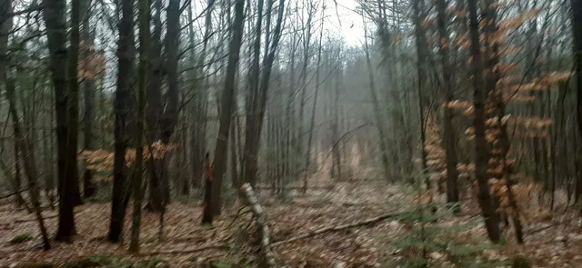 $199,999 | 0 Allen Road, Lempster, NH 03605