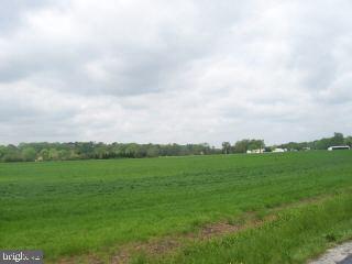 27479 Walnut Tree Road Salisbury, MD 21801 - Photo 6 of 6