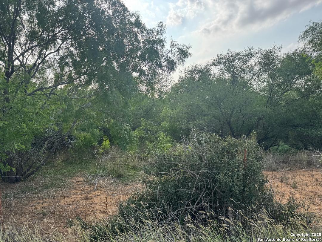 0 Granato Poteet, TX 78065 - Photo 3 of 6