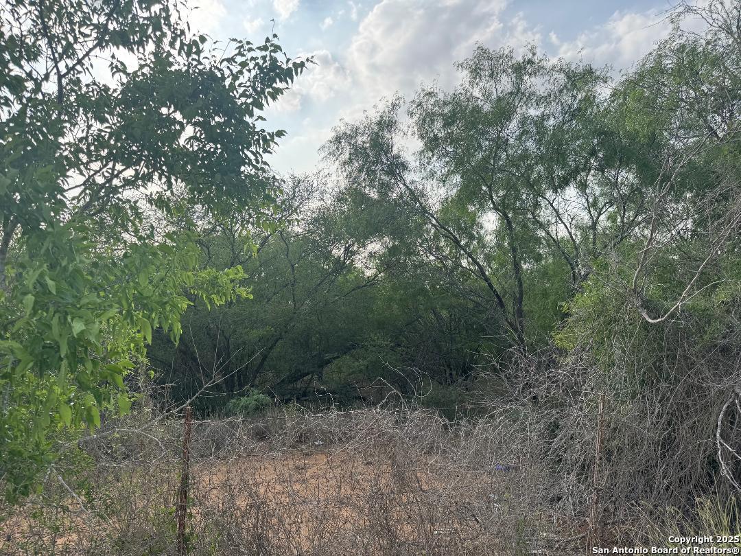 0 Granato Poteet, TX 78065 - Photo 4 of 6