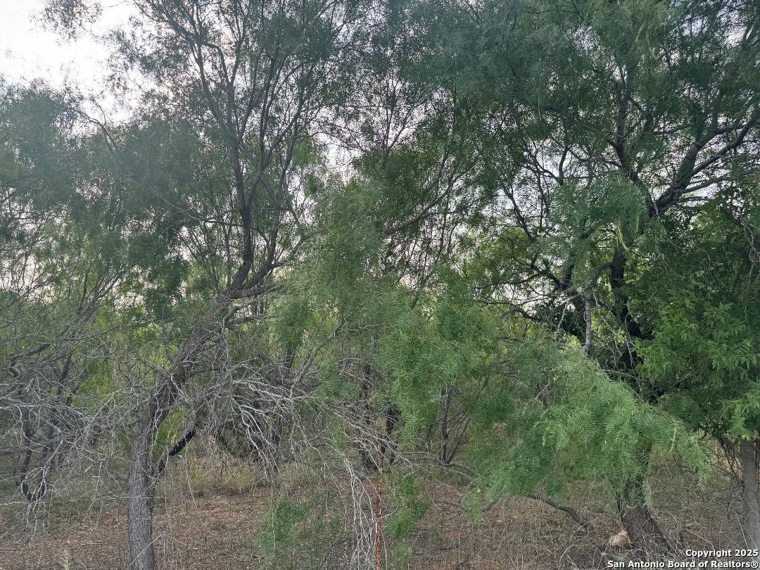 0 Granato Poteet, TX 78065 - Photo 5 of 6