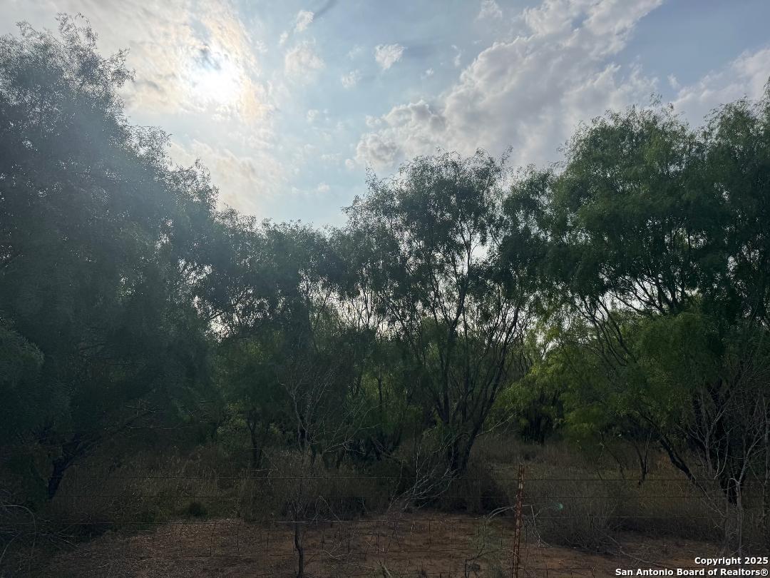 0 Granato Poteet, TX 78065 - Photo 6 of 6