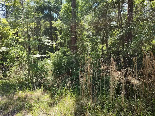 $11,250 | 0 Northeast 66th Avenue, Citra, FL 32113