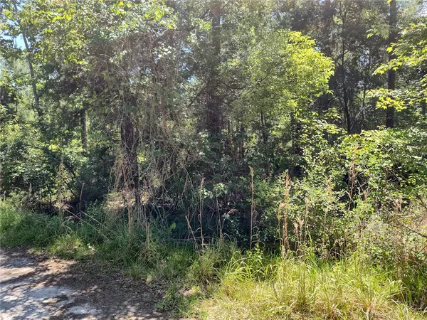 $11,250 | 0 Northeast 66th Avenue, Citra, FL 32113