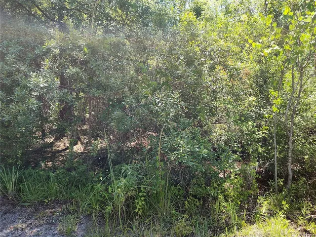 $11,250 | 0 Northeast 66th Avenue, Citra, FL 32113