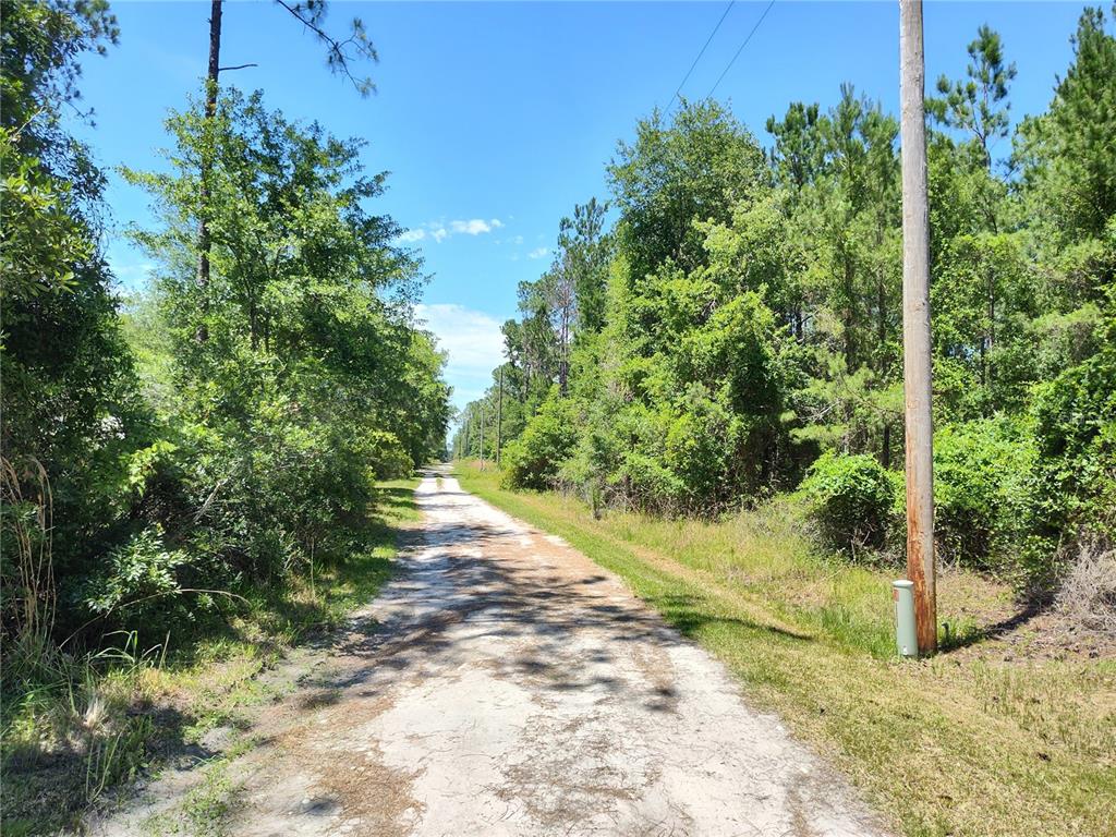 0 Northeast 66th Avenue Citra, FL 32113 - Photo 4 of 5