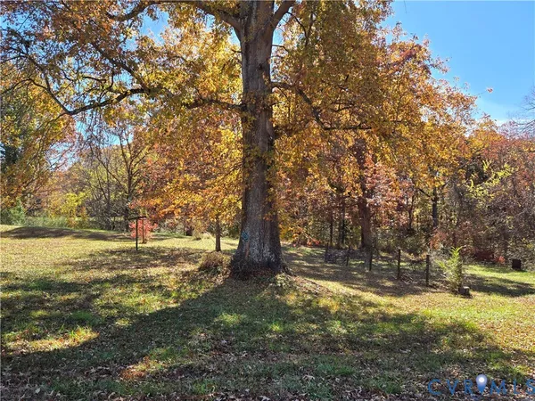 a view of a yard with a tree