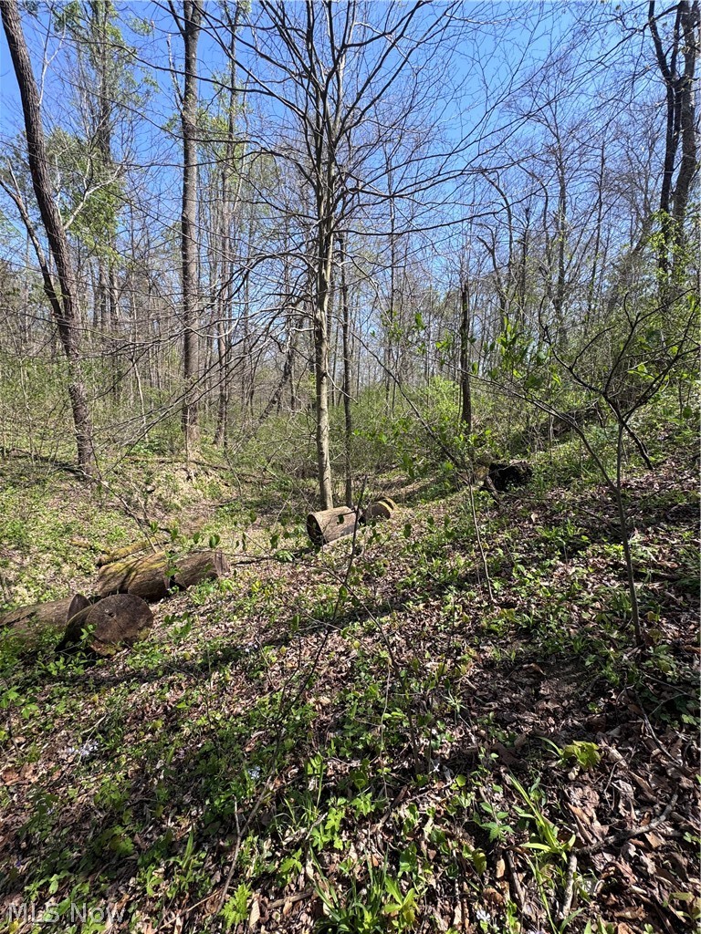 397 South Elliott Road Malta, OH 43758 - Photo 24 of 37