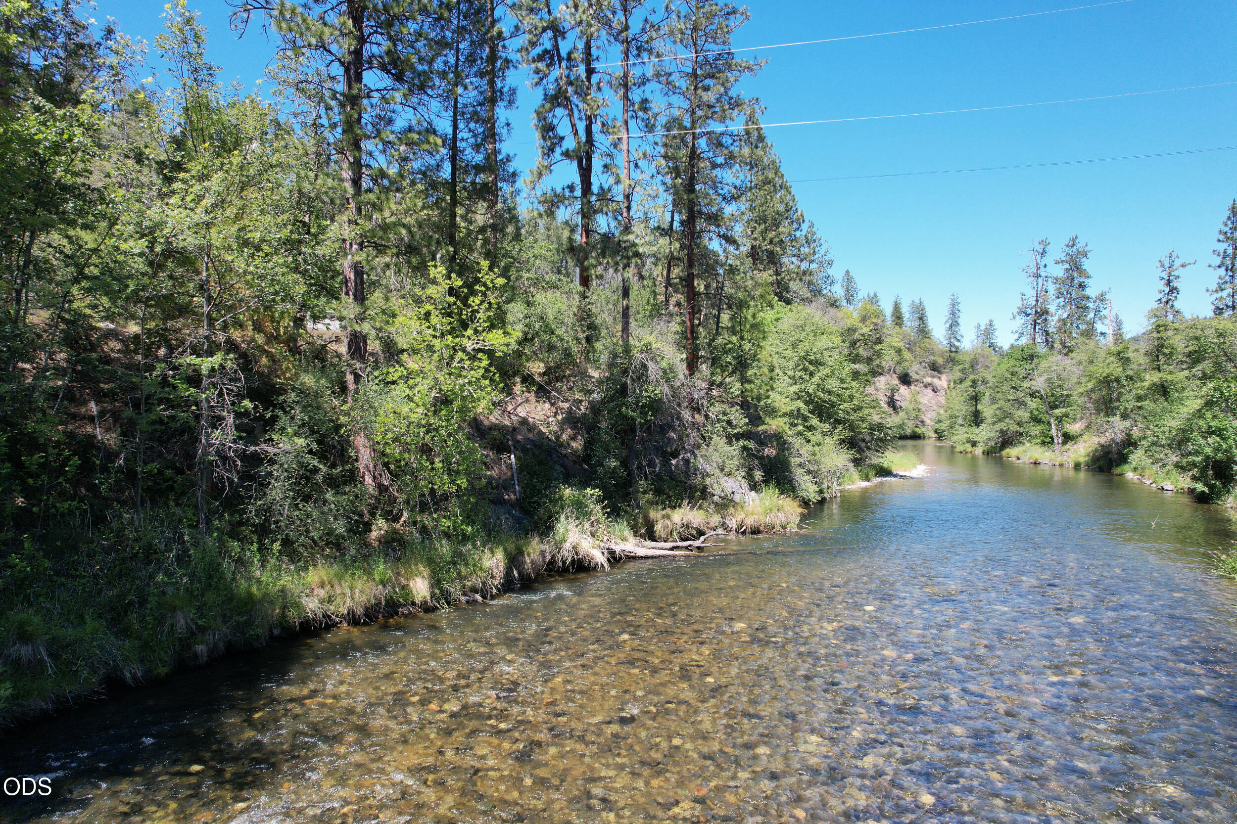 2525 Kinney Creek Road Jacksonville, OR 97530 - Photo 2 of 38 a view of a forest with trees and trees