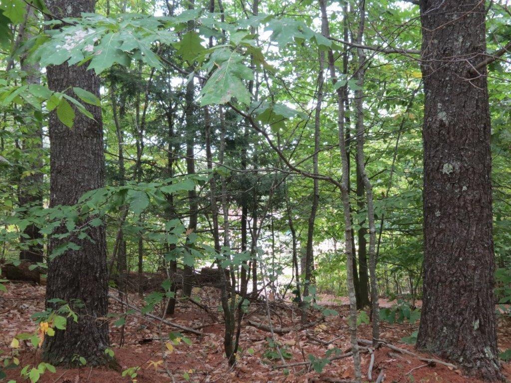 308 State Park Road Naples, ME 04055 - Photo 8 of 9 20180818010414697128000000-o