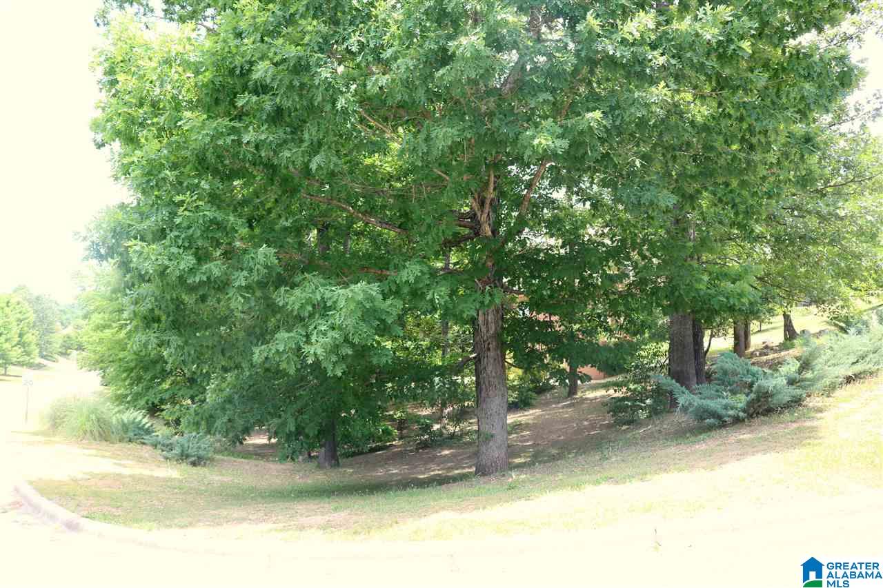 332 Deer Ridge Lane Chelsea, AL 35043 - Photo 37 of 39