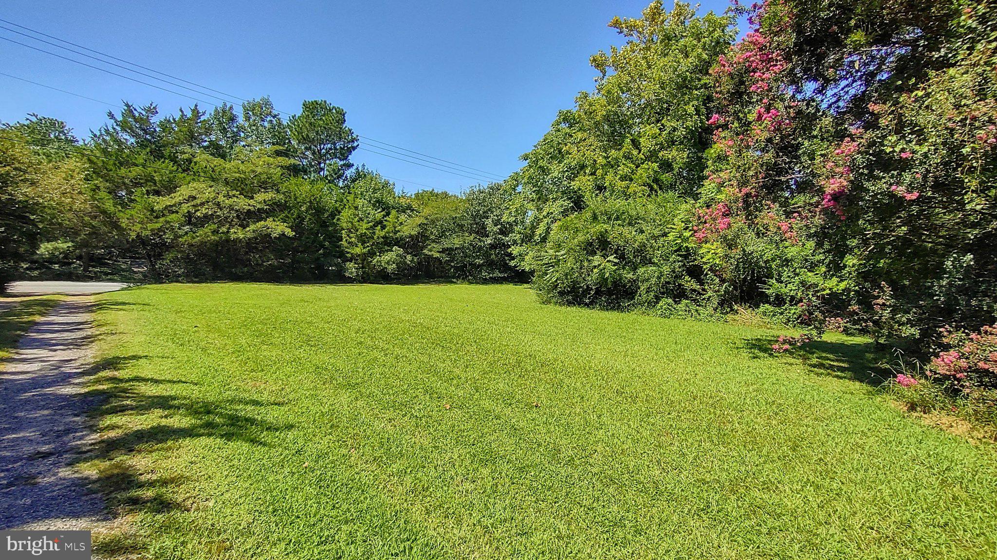 15240 Point Lookout Road St. Inigoes, MD 20684 - Photo 15 of 24 Front yard wooded on edges for privacy