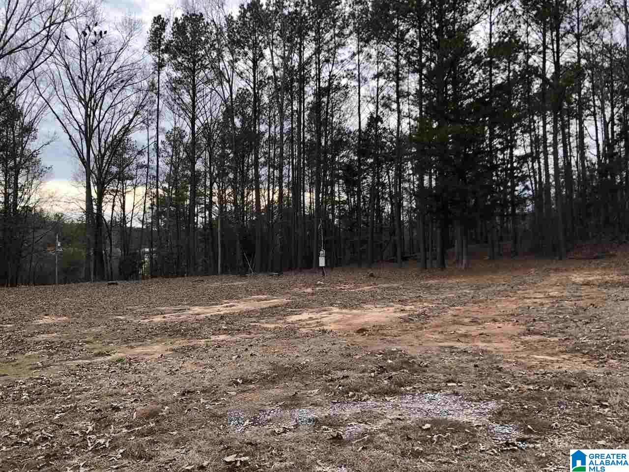 583 Race Track Road Centreville, AL 35042 - Photo 6 of 7